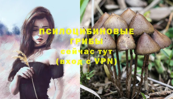 марихуана Балабаново