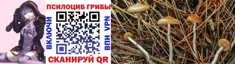 Псилоцибиновые грибы ЛСД  дарнет шоп  Глазов 